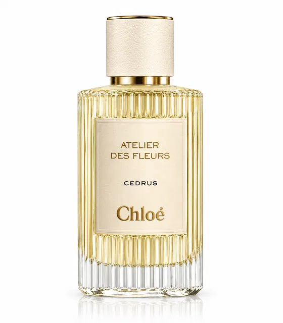 Chloé Cedrus